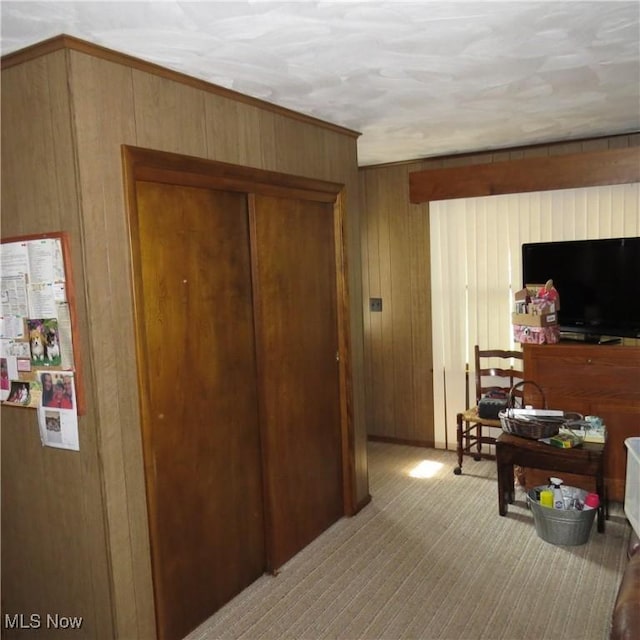 576 12th St NW, Carrollton, OH 44615 - hall featuring wooden walls and carpet