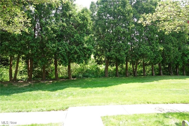 11442 Harbour Light Dr, North Royalton, OH 44133 - photo 4