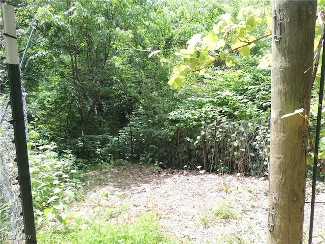 2242 Coffeen St, Kent, OH 44240 - view of woods