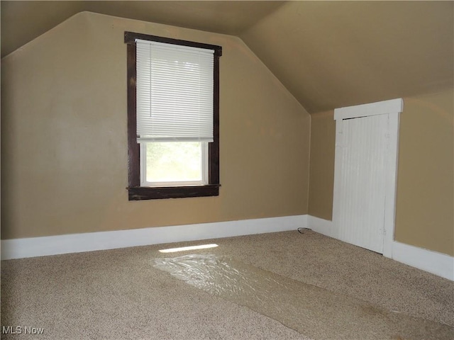 2242 Coffeen St, Kent, OH 44240 - bonus room featuring carpet floors and lofted ceiling