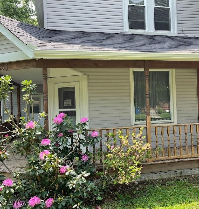 533 W Park Ave, Niles, OH 44446 - doorway to property featuring a porch and a shingled roof