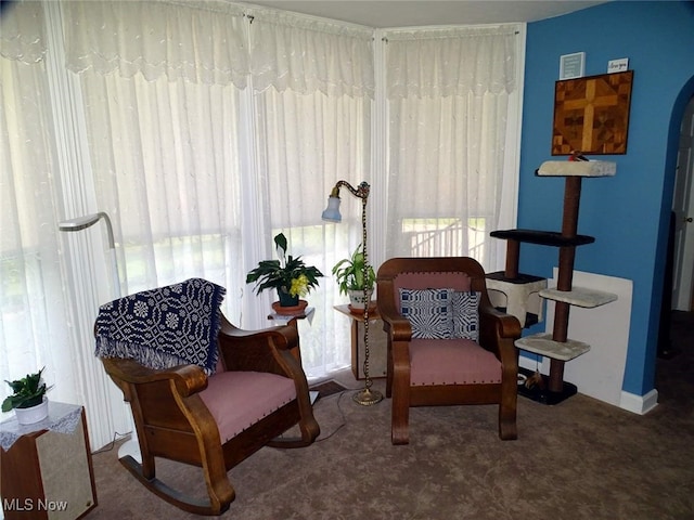 518 Hill St, Coshocton, OH 43812 - living area featuring carpet