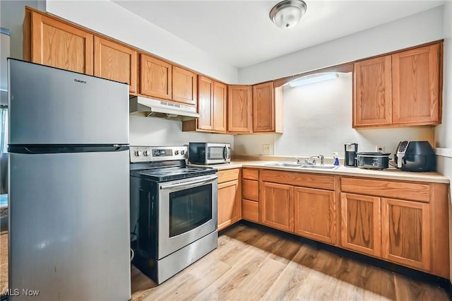 4438-4440 Washington Square Dr, Austintown, OH 44515 - kitchen with appliances with stainless steel finishes, under cabinet range hood, a sink, light wood-style flooring, and light countertops
