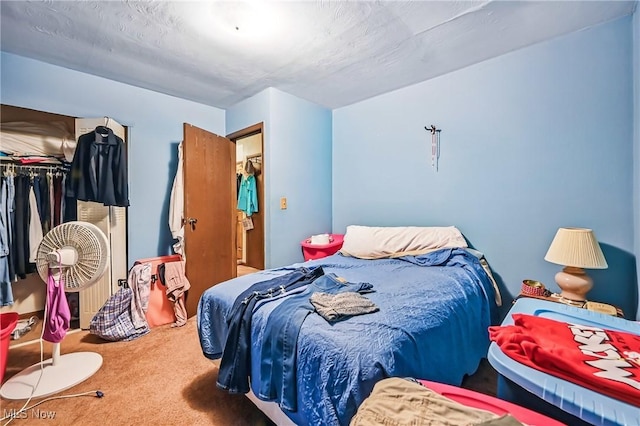 4438-4440 Washington Square Dr, Austintown, OH 44515 - carpeted bedroom with a closet