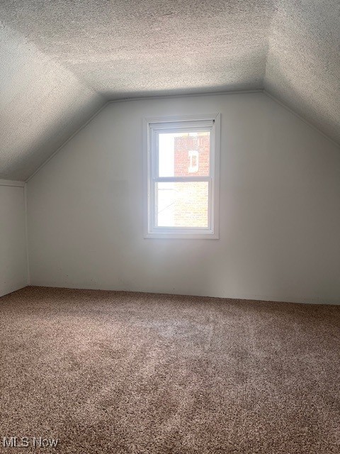 296 Sanderson Ave, Campbell, OH 44405 - bonus room with vaulted ceiling, carpet floors, and a textured ceiling