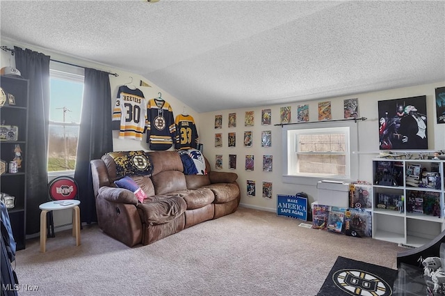 14372 W Akron Canfield Rd, Berlin Center, OH 44401 - photo 27