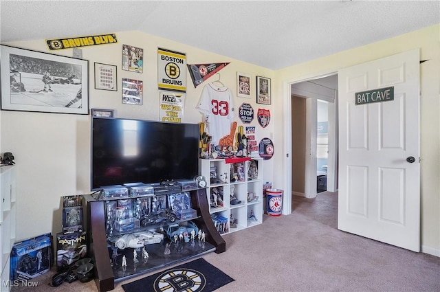 14372 W Akron Canfield Rd, Berlin Center, OH 44401 - photo 28