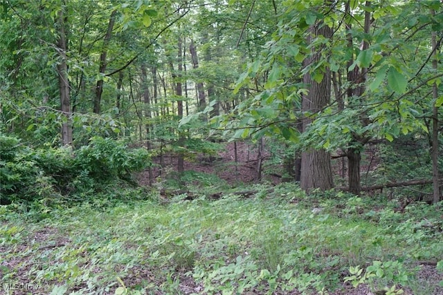 7228 Grove Ave, Oakwood Village, OH 44146 - photo 3