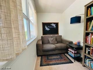 4655 Boggs Rd, Zanesville, OH 43701 - photo 17