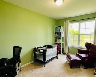 4655 Boggs Rd, Zanesville, OH 43701 - photo 26