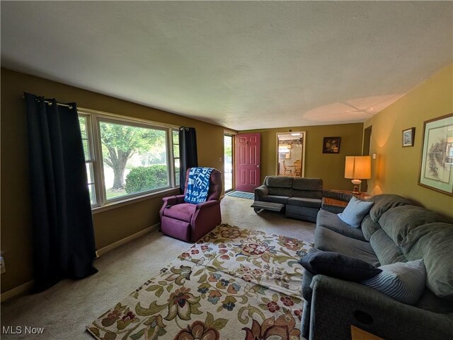 5710 Sugargrove Rd, Blue Rock, OH 43720 - living room featuring carpet flooring and baseboards