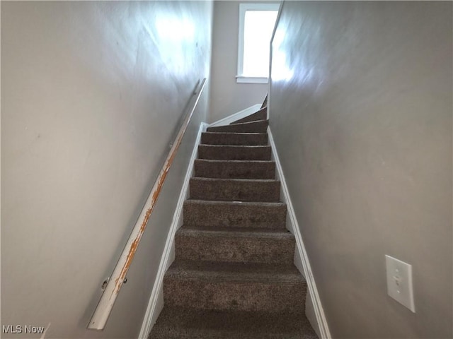 3270 Berkshire Rd, Cleveland Heights, OH 44118 - photo 16