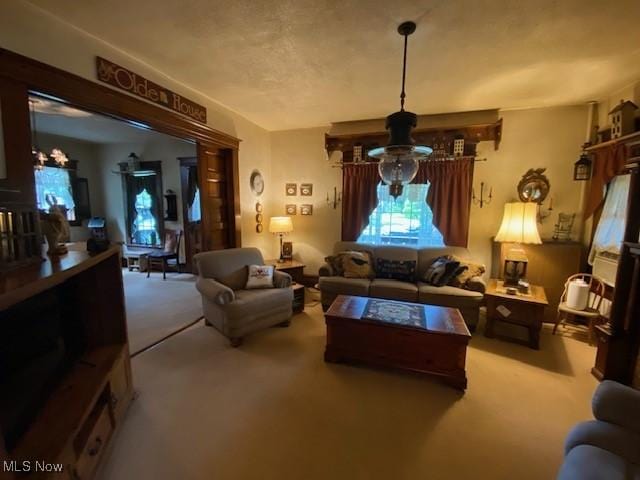 705 Main St, Toronto, OH 43964 - living room with carpet, a chandelier, and healthy amount of natural light
