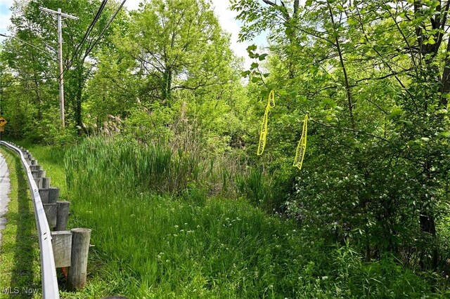 11861 Edgerton Rd, North Royalton, OH 44133 - photo 25