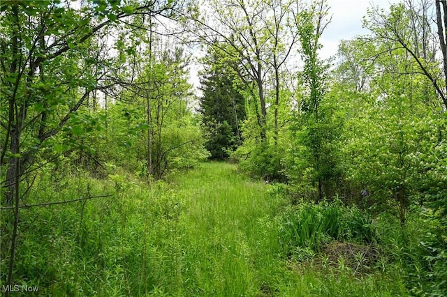 11861 Edgerton Rd, North Royalton, OH 44133 - photo 18