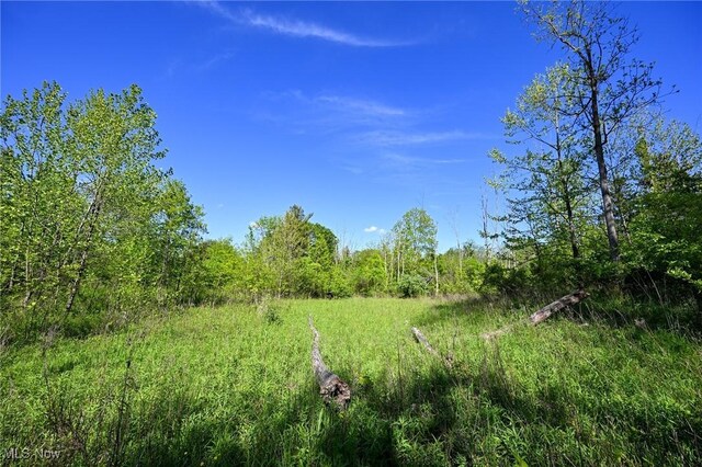 11861 Edgerton Rd, North Royalton, OH 44133 - photo 13