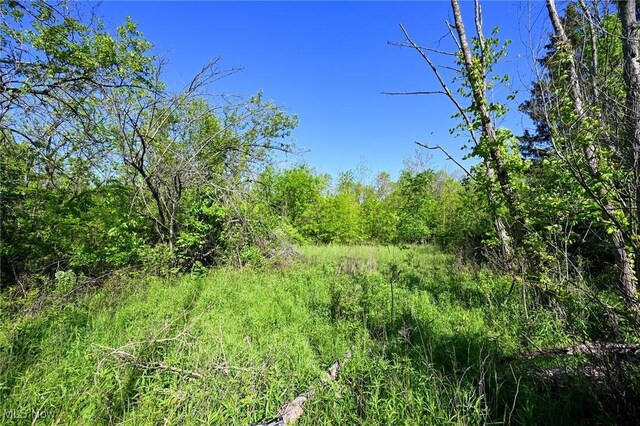 11861 Edgerton Rd, North Royalton, OH 44133 - photo 23