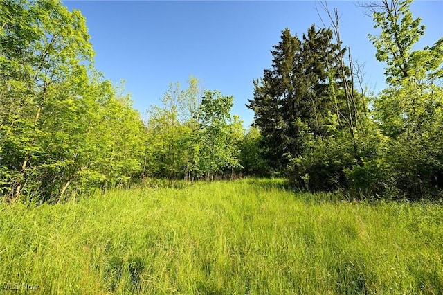 11861 Edgerton Rd, North Royalton, OH 44133 - photo 24