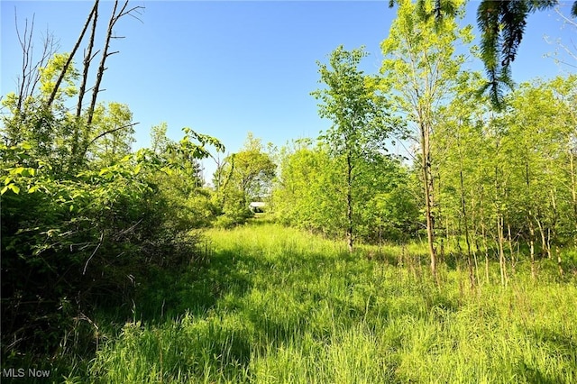 11861 Edgerton Rd, North Royalton, OH 44133 - photo 26