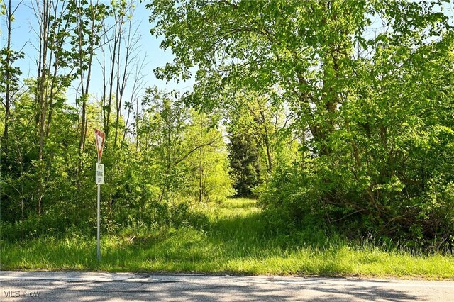 11861 Edgerton Rd, North Royalton, OH 44133 - photo 27