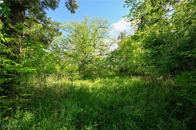 11861 Edgerton Rd, North Royalton, OH 44133 - photo 20
