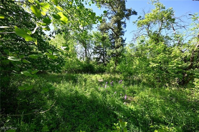 11861 Edgerton Rd, North Royalton, OH 44133 - photo 4