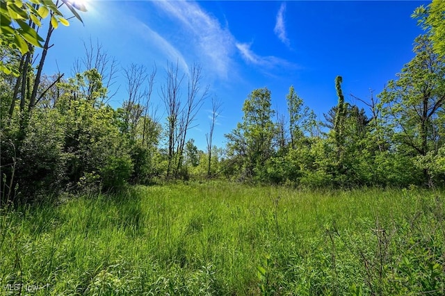 11861 Edgerton Rd, North Royalton, OH 44133 - photo 17