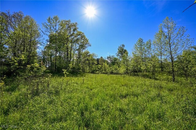 11861 Edgerton Rd, North Royalton, OH 44133 - photo 22