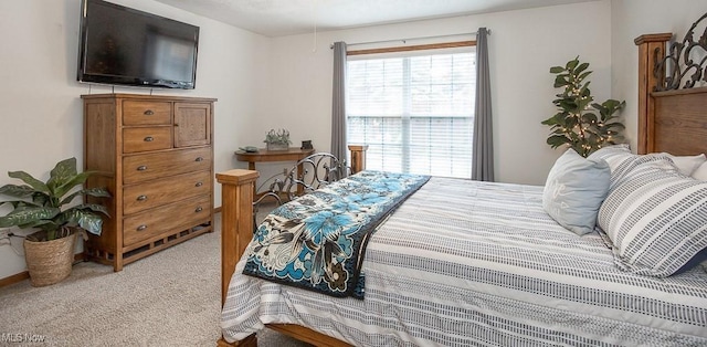 2401 Bunker Ln Unit B, Willoughby, OH 44094 - bedroom featuring carpet floors