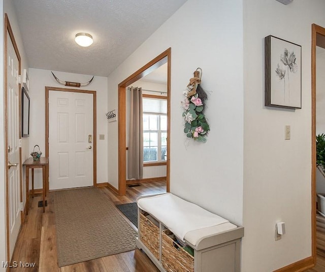 2401 Bunker Ln Unit B, Willoughby, OH 44094 - foyer entrance with wood finished floors, baseboards, and a textured ceiling