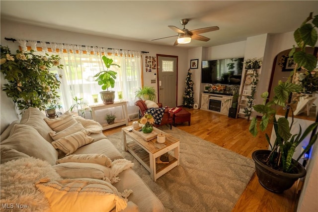 627 Elson St, East Liverpool, OH 43920 - living room featuring ceiling fan and wood finished floors