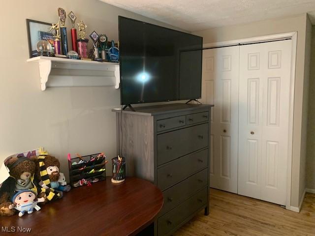 2115 Presidential Pkwy Unit B5, Twinsburg, OH 44087 - bedroom with light wood-style flooring and a closet