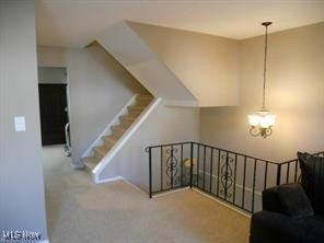 2115 Presidential Pkwy Unit B5, Twinsburg, OH 44087 - stairway with carpet