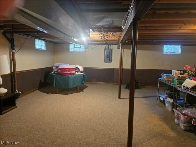 462 Farr Ave, Wadsworth, OH 44281 - basement with electric panel, carpet, and a wainscoted wall