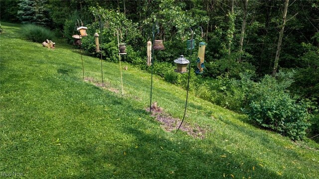 11279 Buzzard Glory, Crooksville, OH 43731 - photo 33