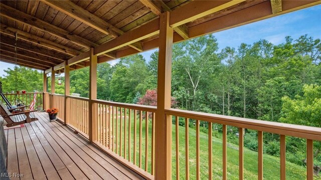 11279 Buzzard Glory, Crooksville, OH 43731 - photo 40