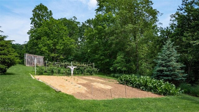11279 Buzzard Glory, Crooksville, OH 43731 - photo 41