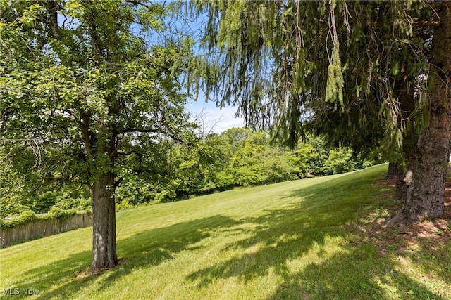 60922 Webb Heights Rd, Shadyside, OH 43947 - view of yard