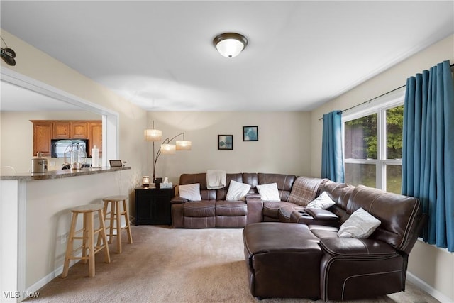 60922 Webb Heights Rd, Shadyside, OH 43947 - living area featuring light colored carpet