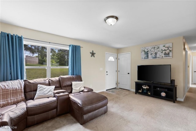 60922 Webb Heights Rd, Shadyside, OH 43947 - living area featuring carpet floors and baseboards