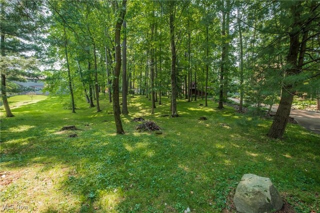 5820 Kildare Cir NW, Canton, OH 44718 - view of green lawn