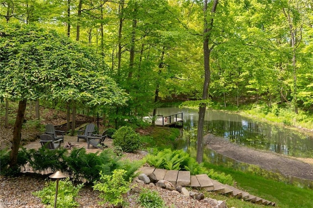 4151 Williamsburg Ct, Medina, OH 44256 - view of yard with a view of trees and a water view
