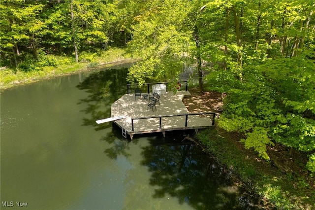 4151 Williamsburg Ct, Medina, OH 44256 - dock featuring a water view and a view of trees
