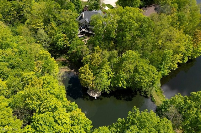 4151 Williamsburg Ct, Medina, OH 44256 - bird's eye view of a nearby body of water