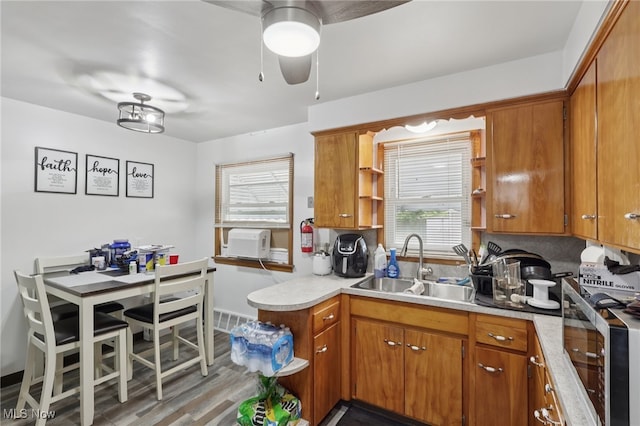 20800 Wilmore Ave, Euclid, OH 44123 - kitchen featuring a sink, open shelves, brown cabinetry, light countertops, and wood finished floors