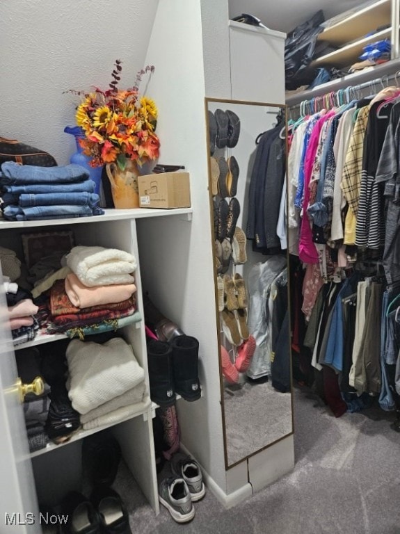 110 Olson Spur, Munroe Falls, OH 44262 - walk in closet with carpet floors