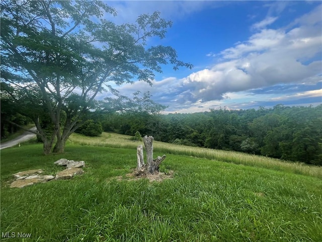 9421 Slate Creek Rd, Rockport, WV 26169 - photo 6