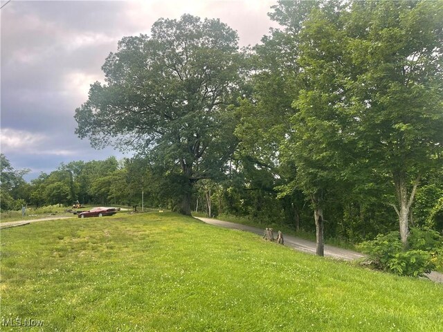 9421 Slate Creek Rd, Rockport, WV 26169 - photo 5