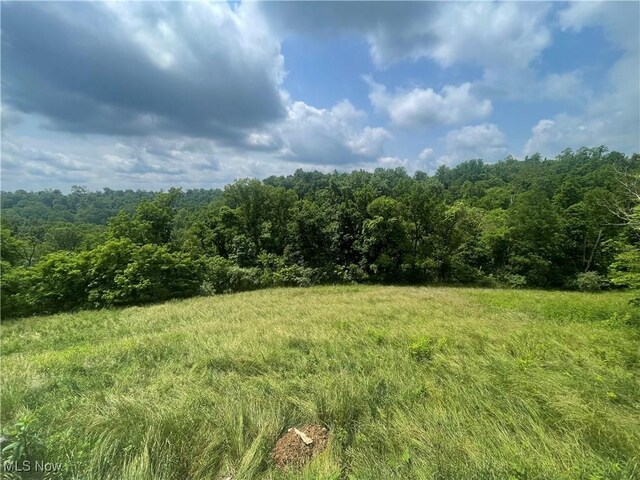 9421 Slate Creek Rd, Rockport, WV 26169 - photo 33