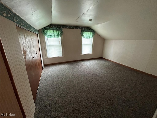 8973 Matty Rd, West Salem, OH 44287 - bonus room with lofted ceiling, carpet flooring, and baseboards